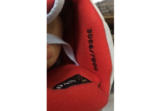 BLUE AIR CI1899-400 TROPHY X 5 ROOM JORDAN CI1899-400 JSP ICE 0406